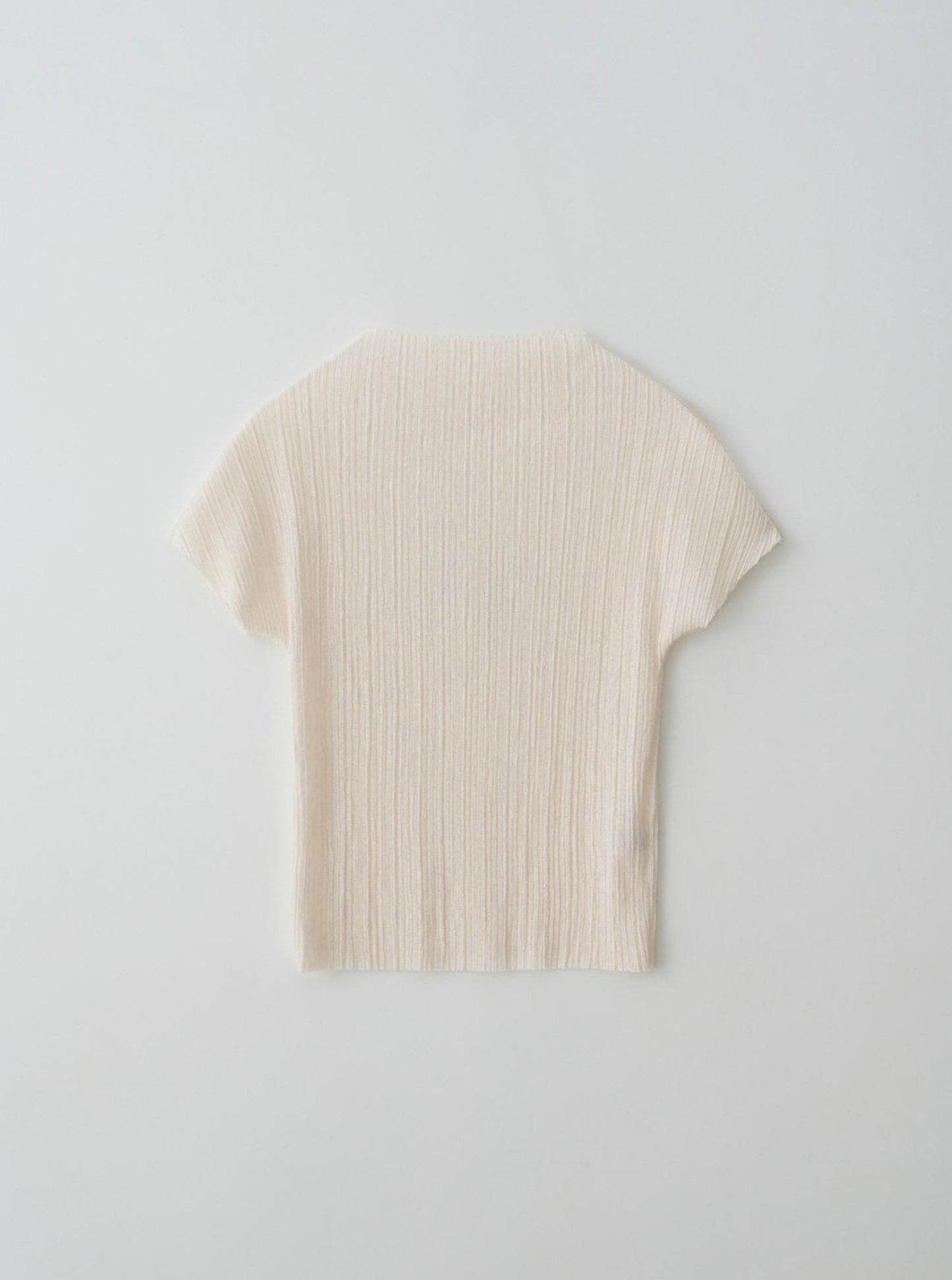 Pleats Top