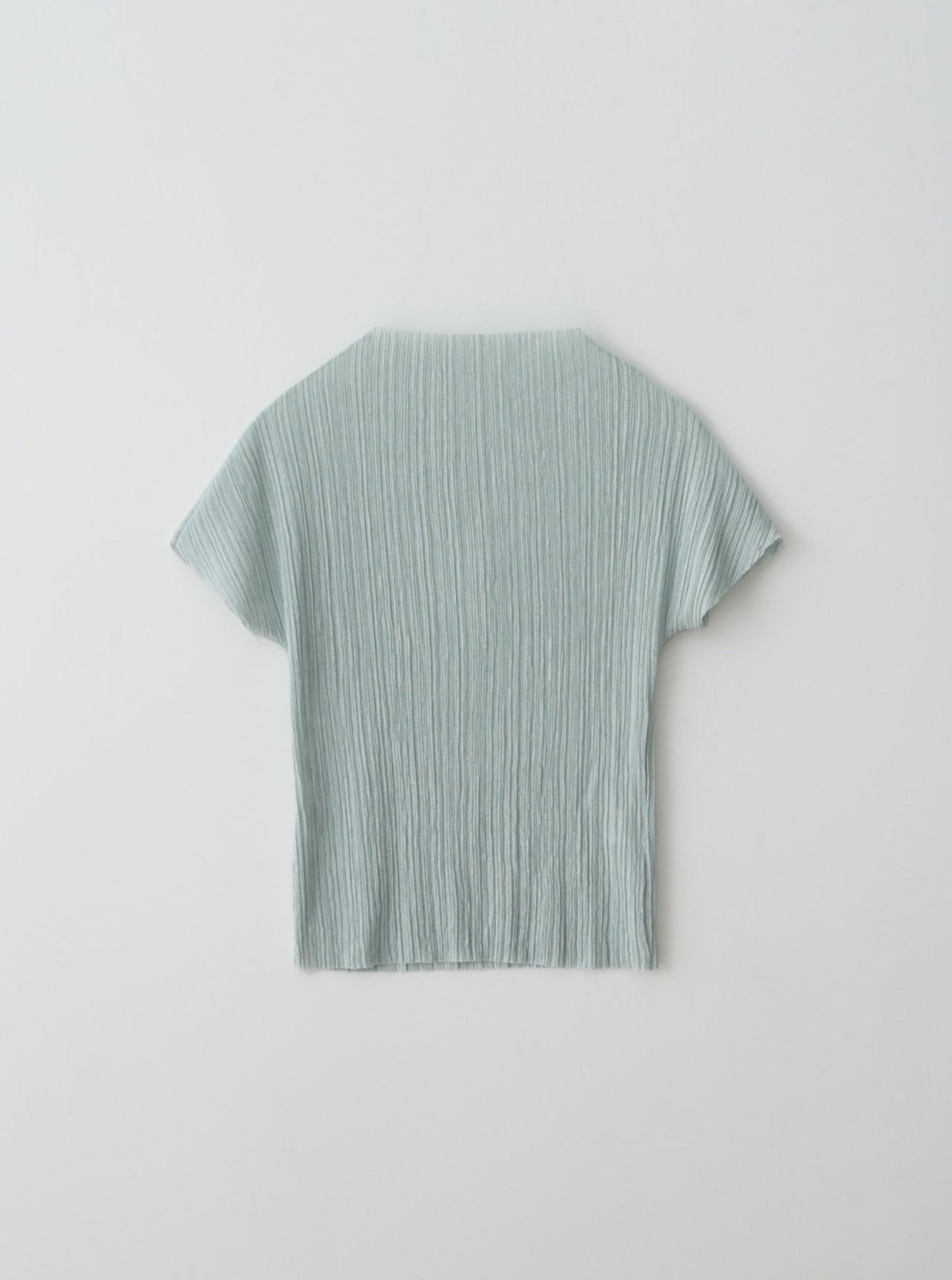 Pleats Top