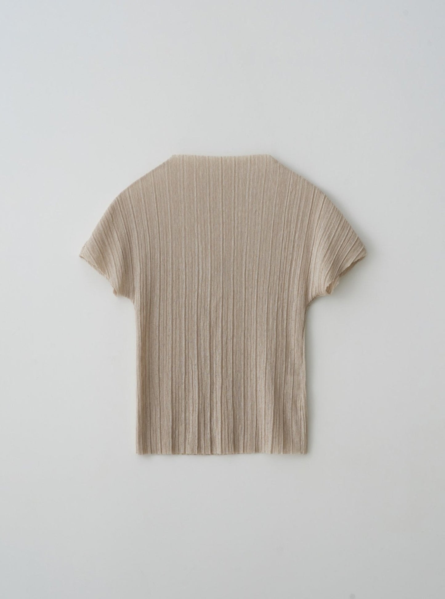 Pleats Top