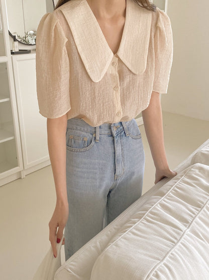 Crinkled Short Sleeve Blouse