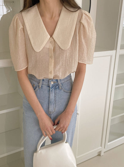 Crinkled Short Sleeve Blouse