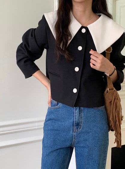 Wide Collar Cropped Jacket